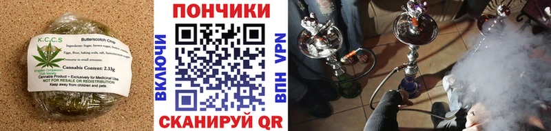 блэк спрут tor  купить наркоту  Шилка  Cannafood марихуана 