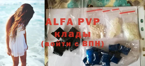 гашик Майский
