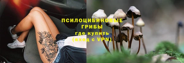 твердый Абинск
