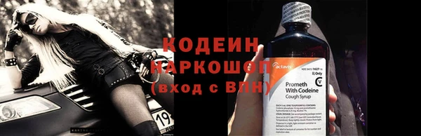 гашик Майский