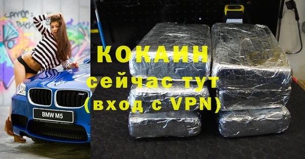 гашик Майский