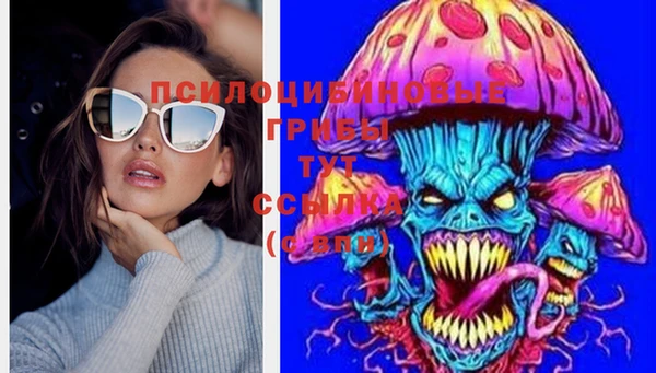 соль ск Абдулино