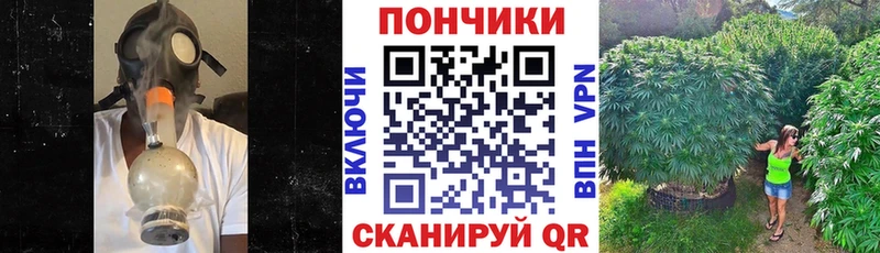 Шишки марихуана тримм  Шилка 